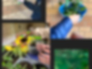 2023 green school app final (41)